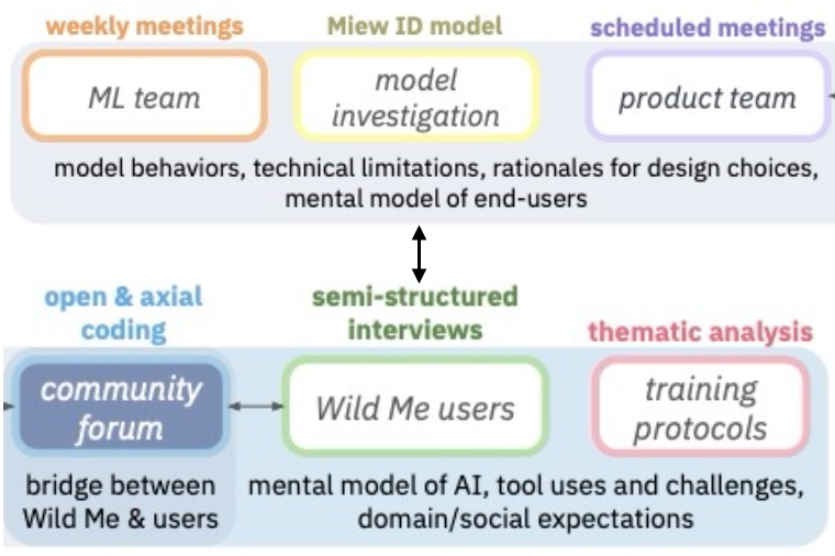 Transparency in the Wild: Navigating Transparency in a Deployed AI System to Broaden Need-Finding Approaches